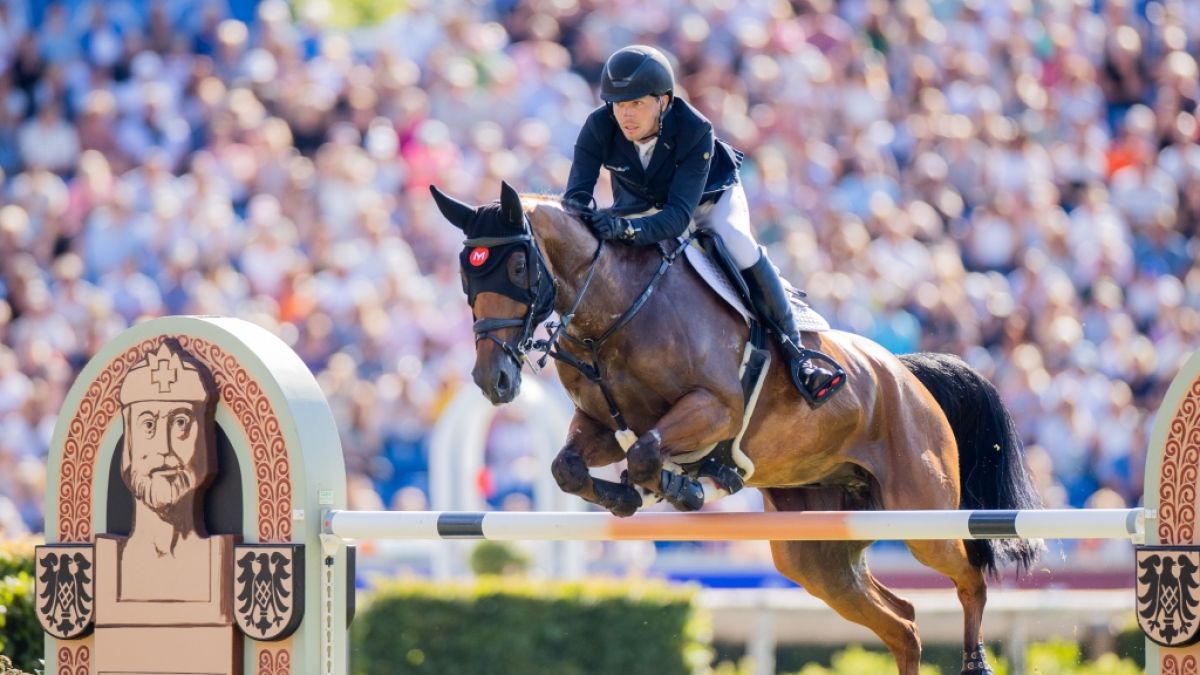 #CHIO 2023 in Aachen : Kein Comeback pro Goldpferd Alice! Zurückliegender Live-Veranstaltung von Blums Pferd