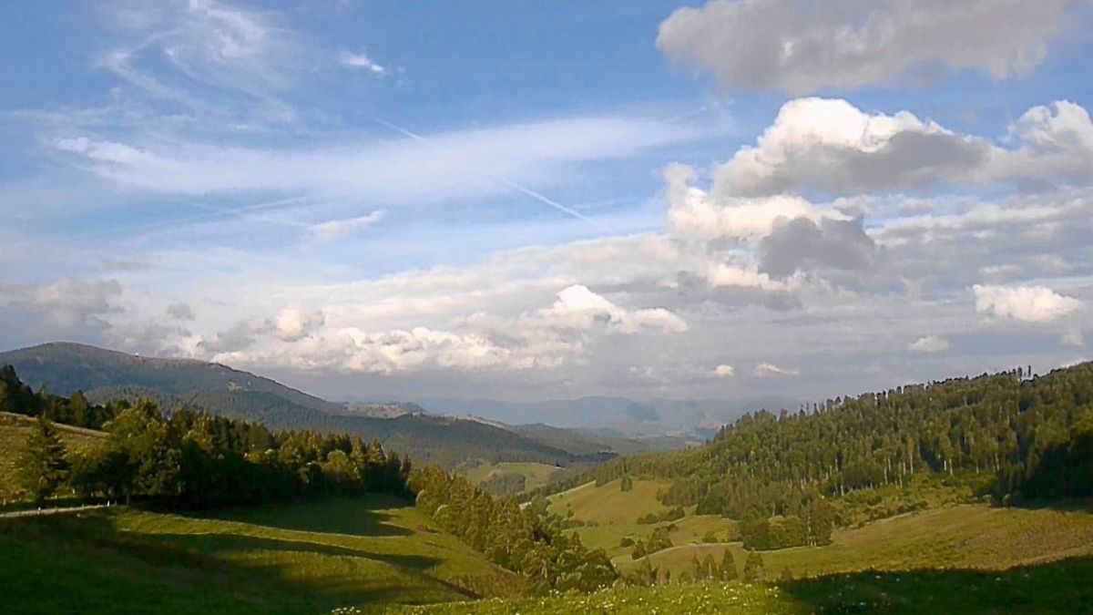 Der Schwarzwald bei 3sat (Foto)