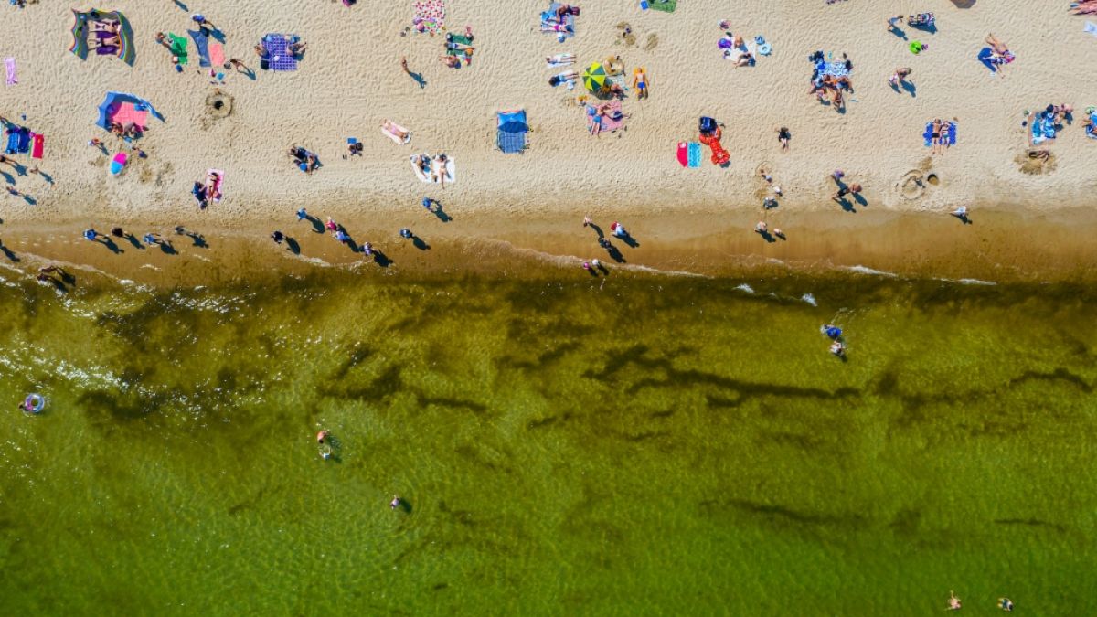 Wenn die Temperaturen richtig einheizen, ist frisches Meerwasser die ideale Abkühlung! Wenn die Temperaturen richtig einheizen, ist frisches Meerwasser die ideale Abkühlung! (Foto)