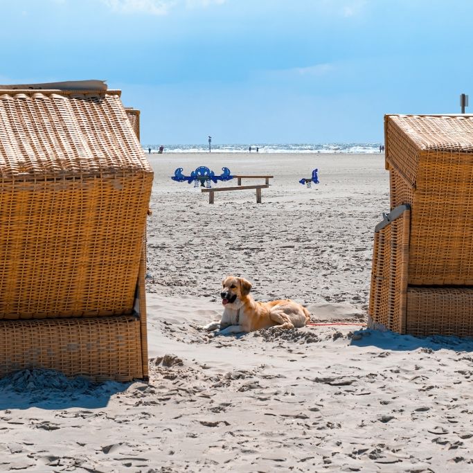 Wie warm wird es an der Ostsee bei Heiligenhafen?
