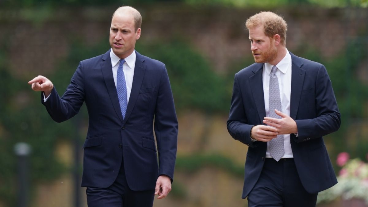 Prinz William und Prinz Harry im Juli 2021. (Foto)