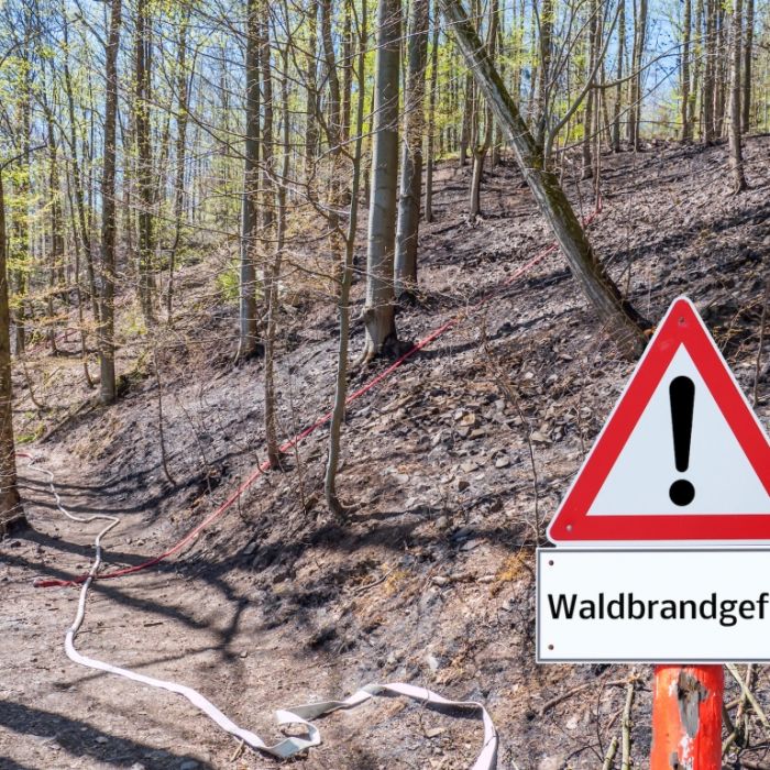 Vorsicht im Wald! Erhöhtes Waldbrandrisiko