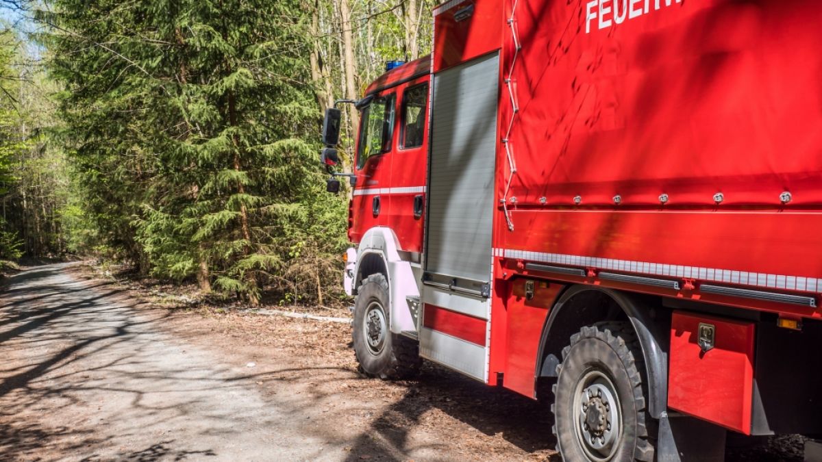 Die Waldbrandgefahr ist aktuell in vielen Teilen Deutschlands erhöht. (Foto)