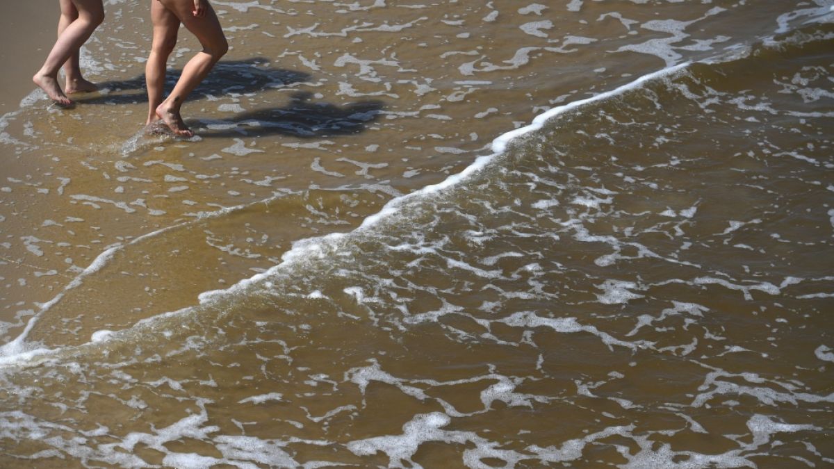 An der Nord- und Ostsee wartet in den Sommermonaten willkommene Abkühlung im Wasser - doch es lauert auch eine tödliche Gefahr in Gestalt von Vibrionen. (Foto)