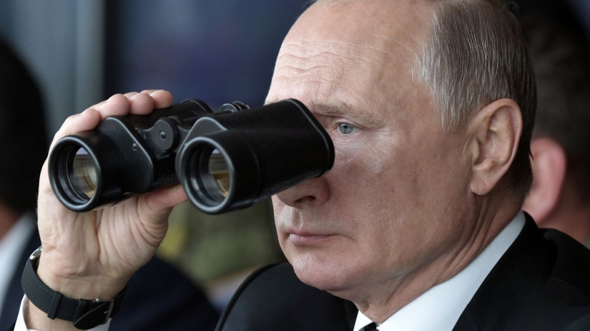 Wladimir Putin hat die Anzahl seiner Kampf-Delfine verdoppelt. (Foto)