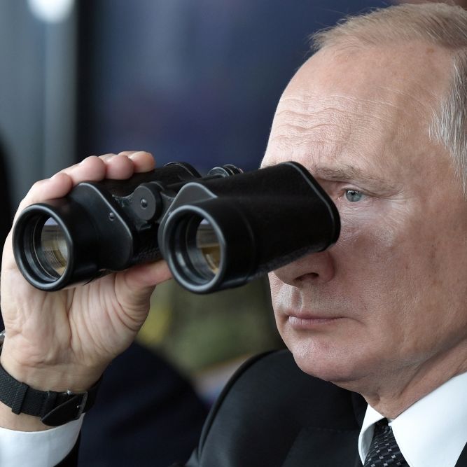 Sie sollen die Flotte schützen! Putin verdoppelt die Anzahl seiner Kampf-Delfine