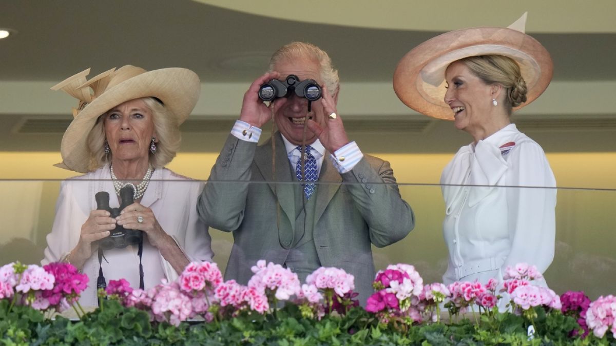 Beim Royal Ascot Pferderennen amüsierte sich König Charles III. prächtig - Königin Camilla staunte indes Bauklötze. (Foto)