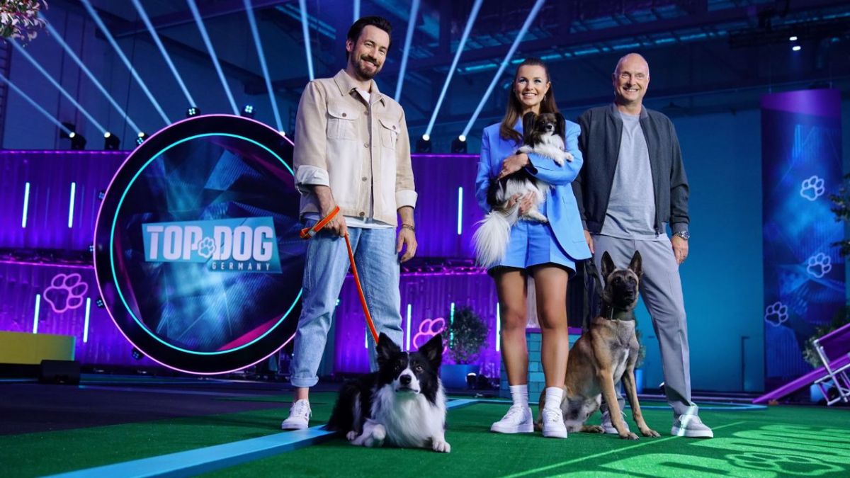 Top Dog Germany - Der beste Hund Deutschlands bei RTL (Foto)