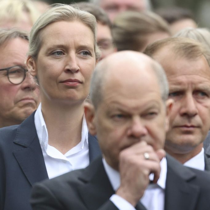 Umfrage-Schock für Kanzler Scholz! Rechtspopulisten ziehen an SPD vorbei