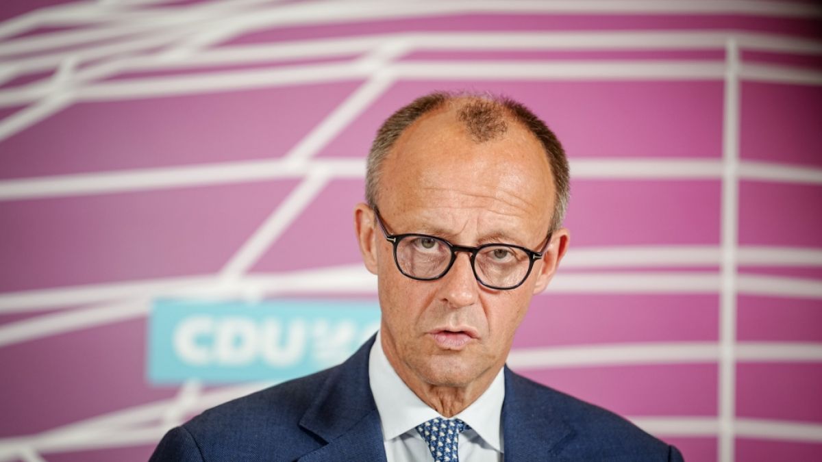 Ein öffentlich-rechtliches Video-Format schockt mit einem Vergleich von CDU-Chef Friedrich Merz mit dem AfD-Politiker Björn Höcke. (Foto)
