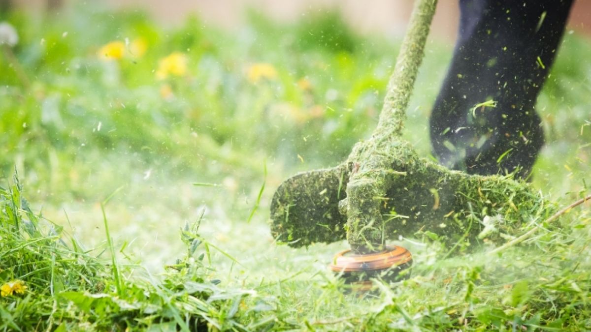 #Tödlicher Unfall: Penis beim Rasenmähen abgetrennt! Gärtner verblutet
