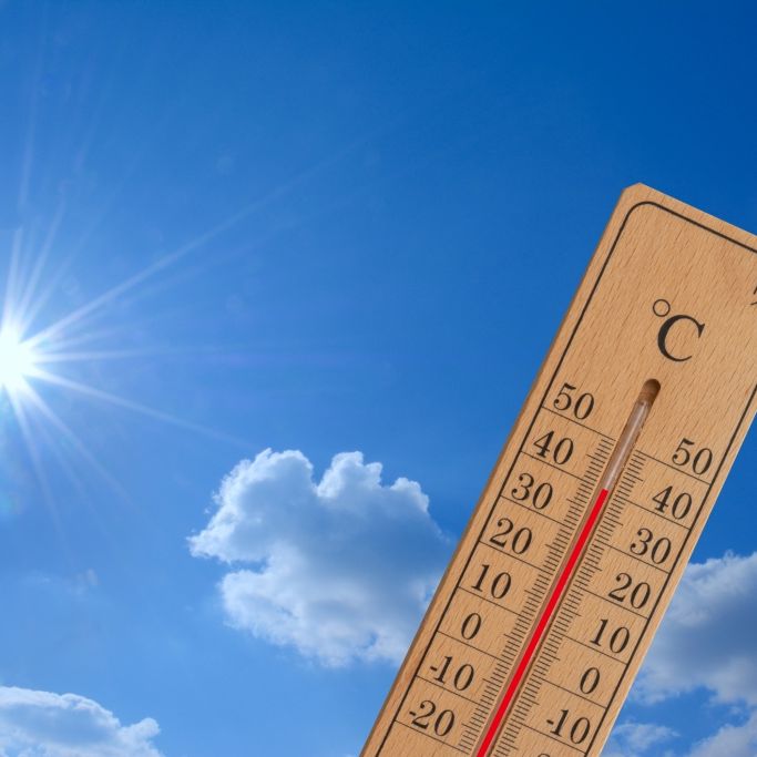 Fast 40 Grad in Deutschland! Meteorologen warnen vor Extrem-Hitze