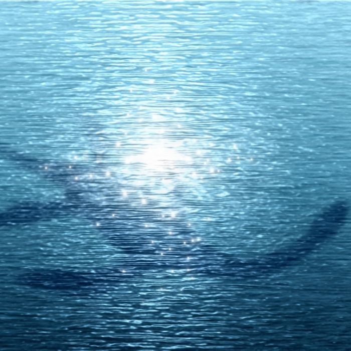 Glasklarer Video-Beweis! Hier jagt Nessie ein Ausflugsboot