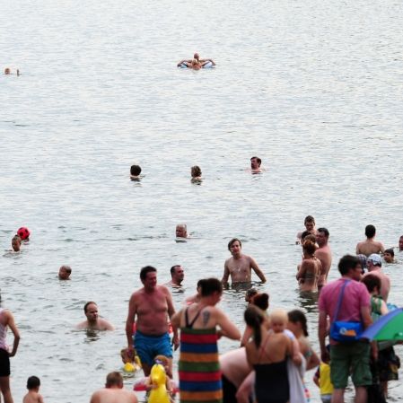 Top-Wasserqualität lädt zum Schwimmen in Berlin-Reinickendorf ein