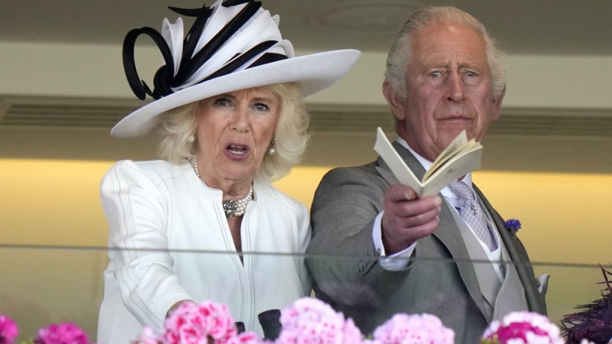 Auf eine rauschende Geburtstagsparty kann Königin Camilla gut und gerne verzichten - viel lieber frönt die Königsgemahlin einer heimlichen Leidenschaft, die König Charles rasend macht. (Foto)
