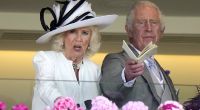Auf eine rauschende Geburtstagsparty kann Königin Camilla gut und gerne verzichten - viel lieber frönt die Königsgemahlin einer heimlichen Leidenschaft, die König Charles rasend macht.