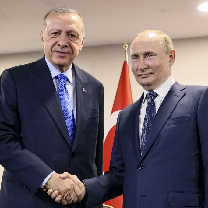 Putin-Hetzer wüten gegen Erdoğan! Droht ein türkischer Angriff?