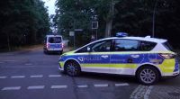 Die Polizei Brandenburg sucht nach einer entlaufenen Raubkatze.