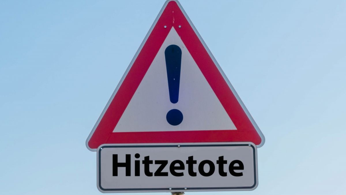 #Hitzetote in Deutschland 2023: Fortentwicklung und Statistik nachdem Kerl und Geschlecht in KW 30