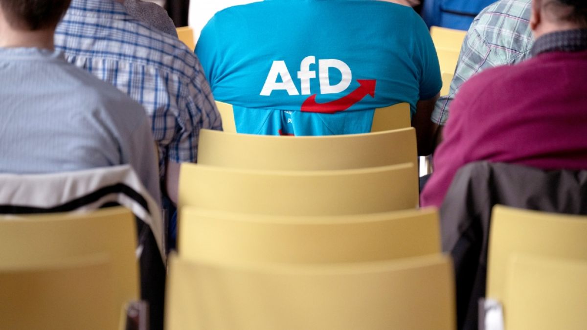 Die AfD liegt aktuellen Wahlumfragen zufolge bundesweit nur noch vier Prozentpunkte hinter der Union. (Foto)
