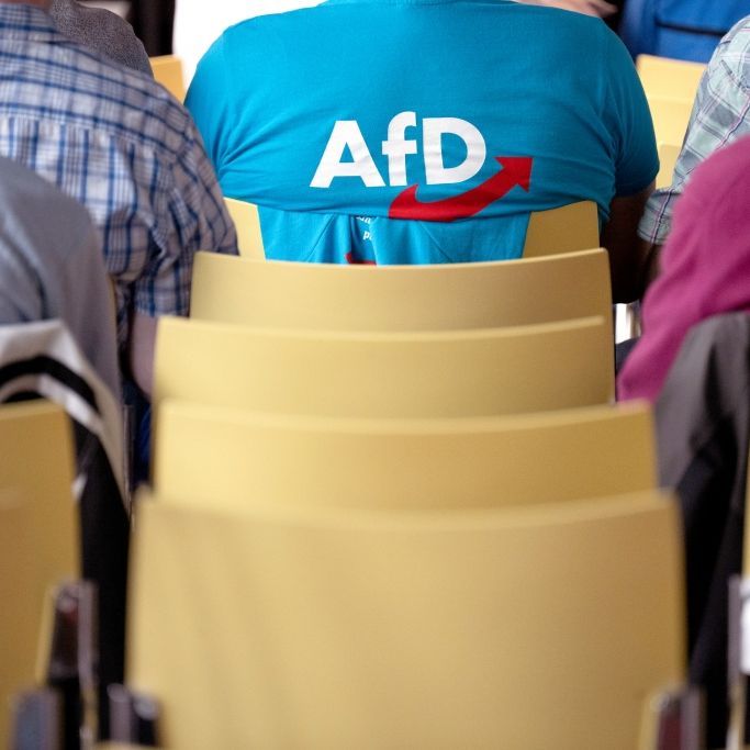 AfD klettert in Wählergunst weiter nach oben - jetzt bundesweit bei 22 Prozent