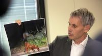 Michael Grubert, Bürgermeister von Kleinmachnow, erklärt bei einem Pressegespräch anhand von Fotos, warum es sich bei dem gesuchten Tier nicht um eine Löwin handeln könne.