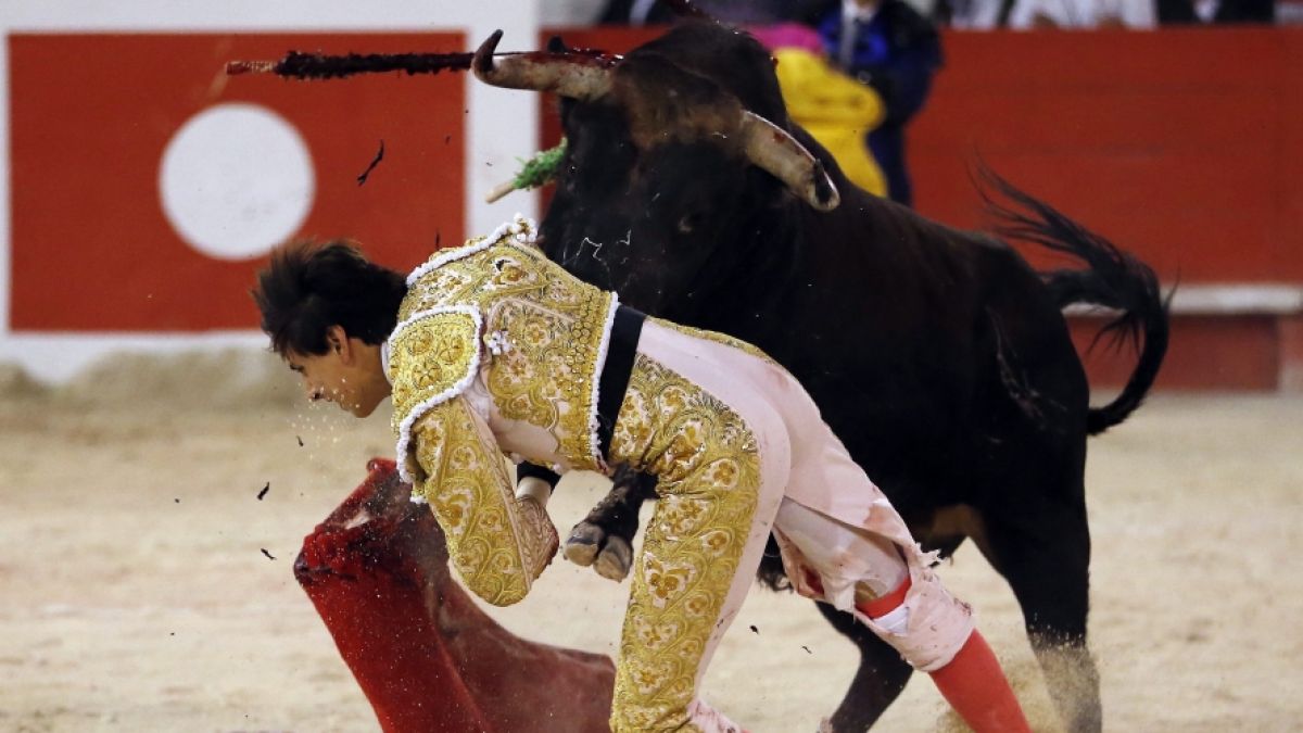 Andrés Roca Rey wurde bei einem Stierkampf schwer verletzt. (Foto)