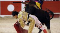 Andrés Roca Rey wurde bei einem Stierkampf schwer verletzt.
