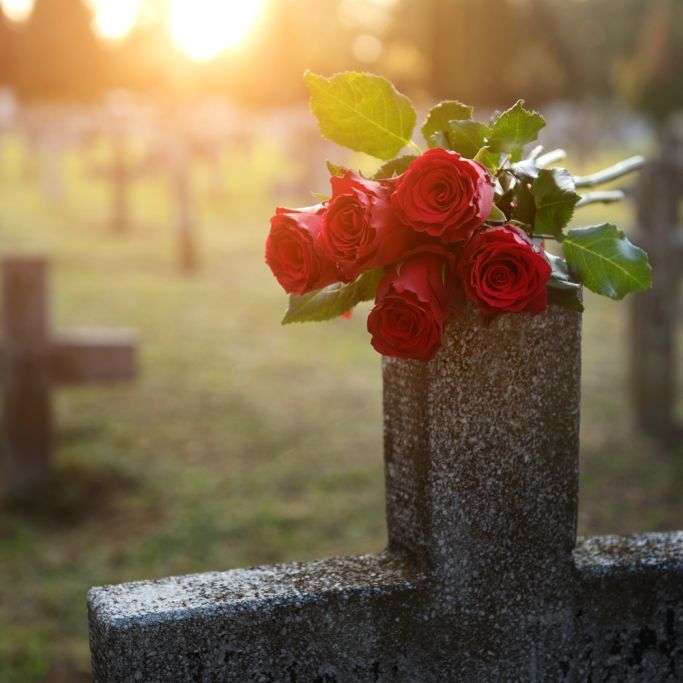 Sie besuchte das Grab ihres Sohnes! Seniorin (71) auf Friedhof ermordet