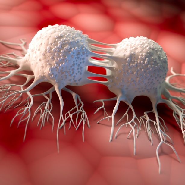 Macht DIESE Pille Tumor-Erkrankungen endgültig den Garaus?