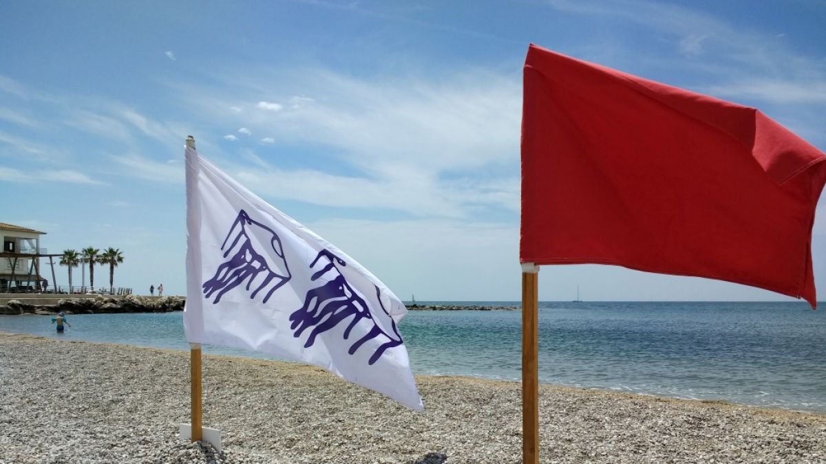 Flaggen am Strand weisen Badegäste auf Gefahren im Meer hin. (Foto)