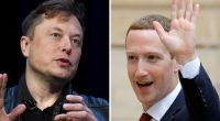 Elon Musk möchte in Italien gegen Mark Zuckerberg kämpfen.