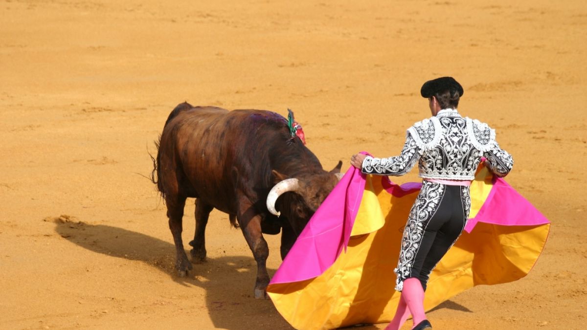 Der spanische Stierkämpfer Alejandro Conquero kam mit schweren Verletzungen ins Krankenhaus. (Symbolbild) (Foto)
