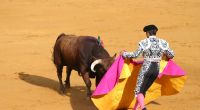 Der spanische Stierkämpfer Alejandro Conquero kam mit schweren Verletzungen ins Krankenhaus. (Symbolbild)