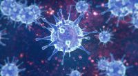 Eine neue Coronavirus-Variante namens BA.X könnte Experten zufolge eine neue Infektionswelle gewaltigen Ausmaßes auslösen.