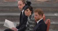 Prinz William und Prinzessin Kate können Prinz Harry eine bestimmte Äußerung wohl nicht verzeihen.