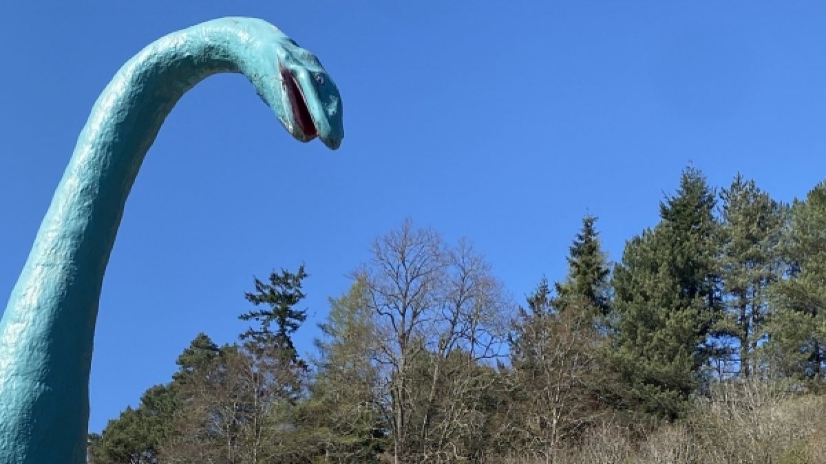 #Jagen aufwärts Loch-Ness-Monster: Vielfach-Sichtungen am Loch Ness! Wird Nessie jetzt erwischt?