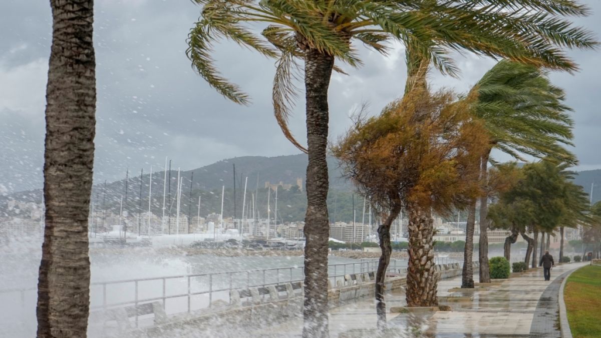 Heftige Unwetter haben auf Mallorca schwere Schäden angerichtet. (Foto)