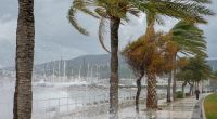 Heftige Unwetter haben auf Mallorca schwere Schäden angerichtet.