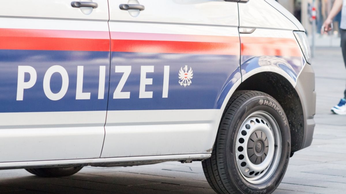 Die Wiener Polizei ermittelt mit Hochdruck nach einer Reihe von Morden im Obdachlosen-Milieu - nun wurde eine weitere Leiche entdeckt. (Foto)