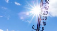 Der Spätsommer nimmt Fahrt auf: Das Thermometer soll dank Hoch Olenka in der neuen Woche mancherorts noch einmal über 30 Grad steigen.