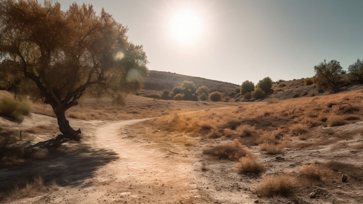 España: ¡Alerta meteorológica actual para el lunes! Temido calor para el paisaje cordobés
