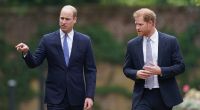 Dass Prinz William und Prinz Harry Seite an Seite auftraten, ist lange her - inzwischen schweigt der britische Thronfolger eisern zu seinem jüngeren Bruder.