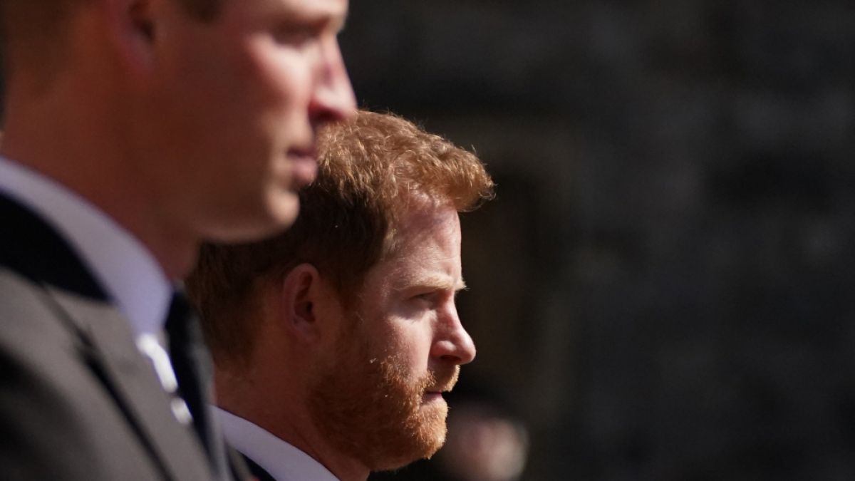 Ob sich die royalen Streithähne Prinz William und Prinz Harry jemals versöhnen, sagen Adelsexperten wie Jennie Bond zu bezweifeln. (Foto)