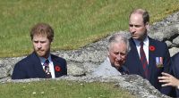 Prinz Harry, König Charles und Prinz William im April 2017.