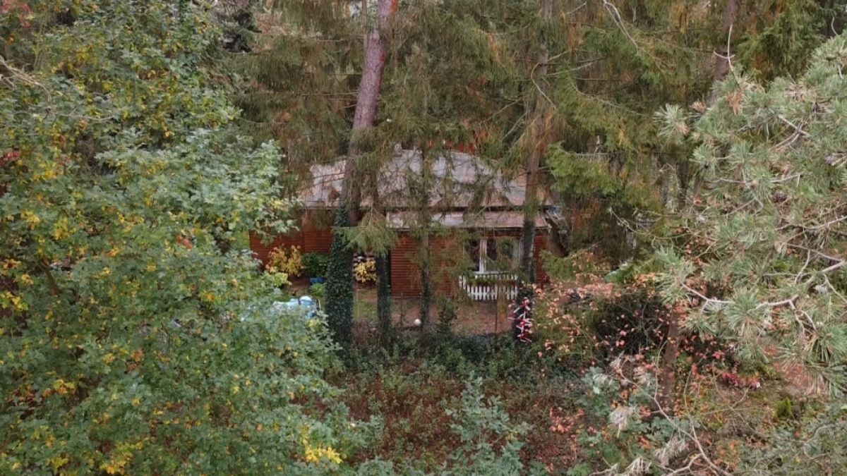 #Horror-Fund im Rahmen Großburgwedel: Menschliche Knochen im Wald entdeckt – wurde hier ein Mordopfer verscharrt?