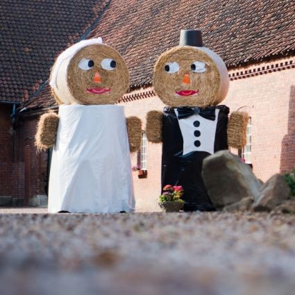 Bauer sucht Frau News 2025