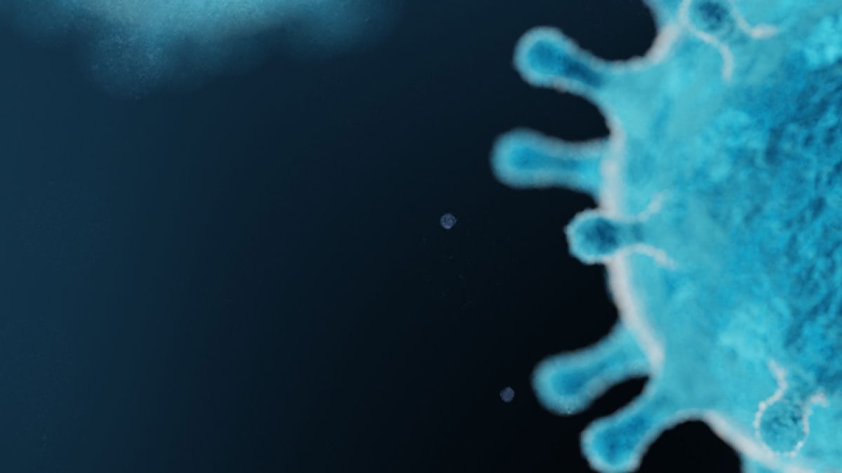 Der erste Fall von Oropouche-Fieber wurde in Europa entdeckt. Experten sind alarmiert (Symbolfoto) (Foto)