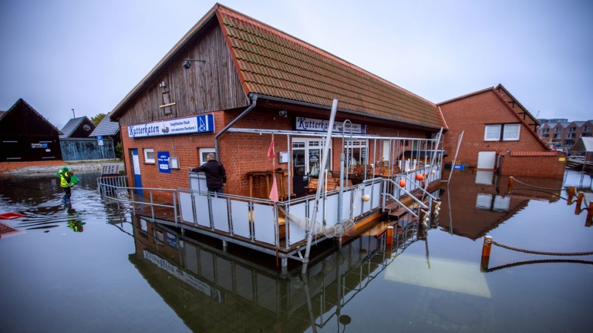 Gebäude im Fischereihafen von Wismar stehen nach der Sturmflut an der Ostseeküste im Wasser. (Foto)
