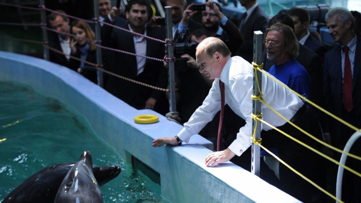 Wladimir Putin mit Delfinen (Foto)